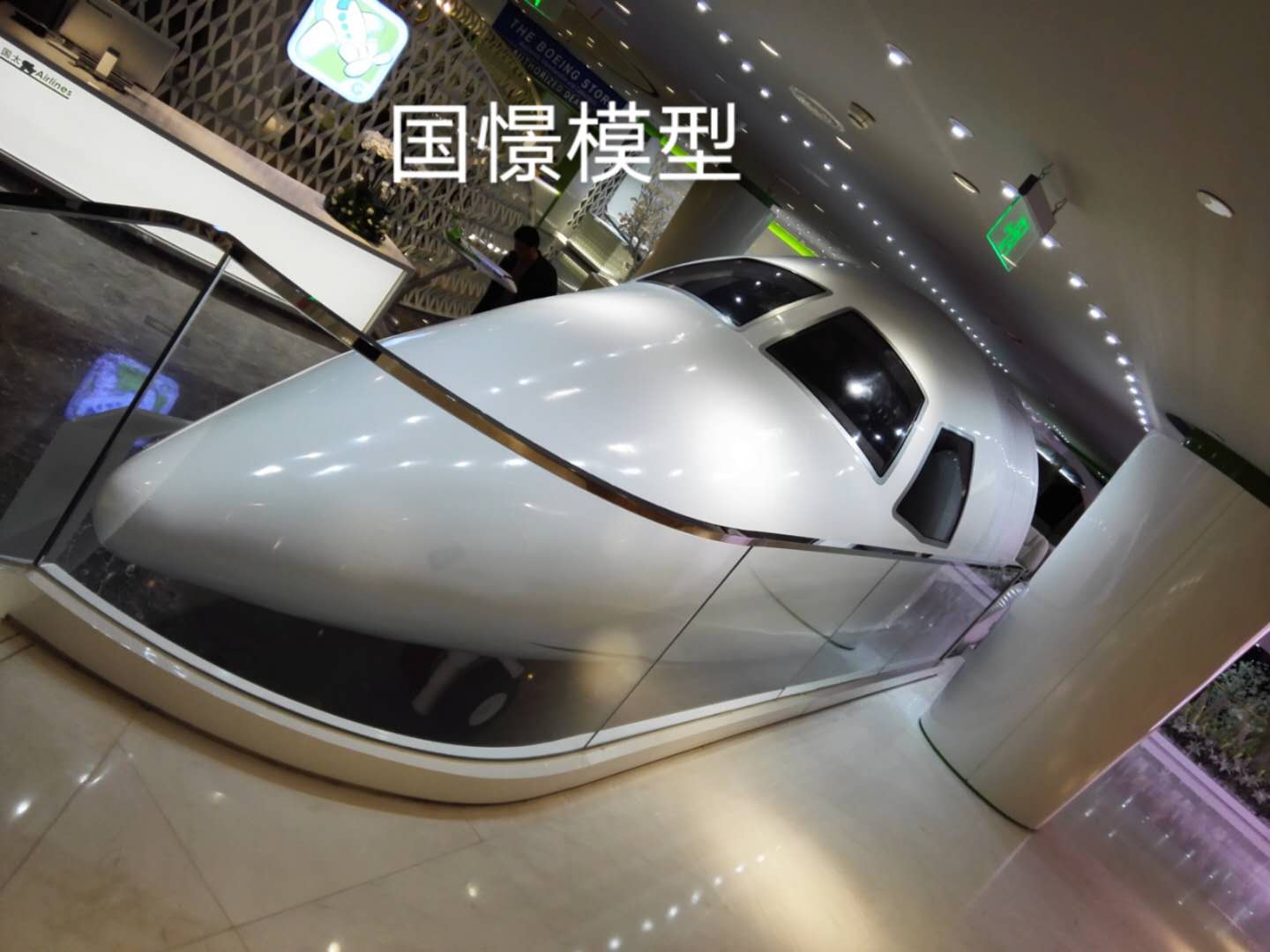 西青区大型仿真模型道具