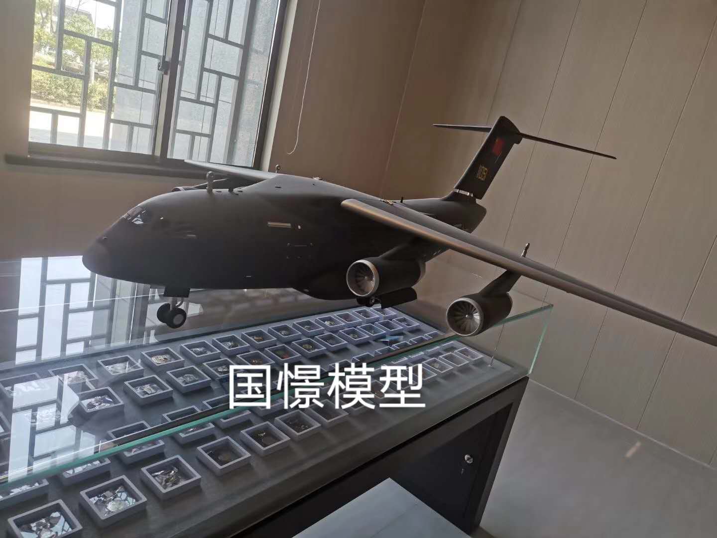 西青区飞机模型